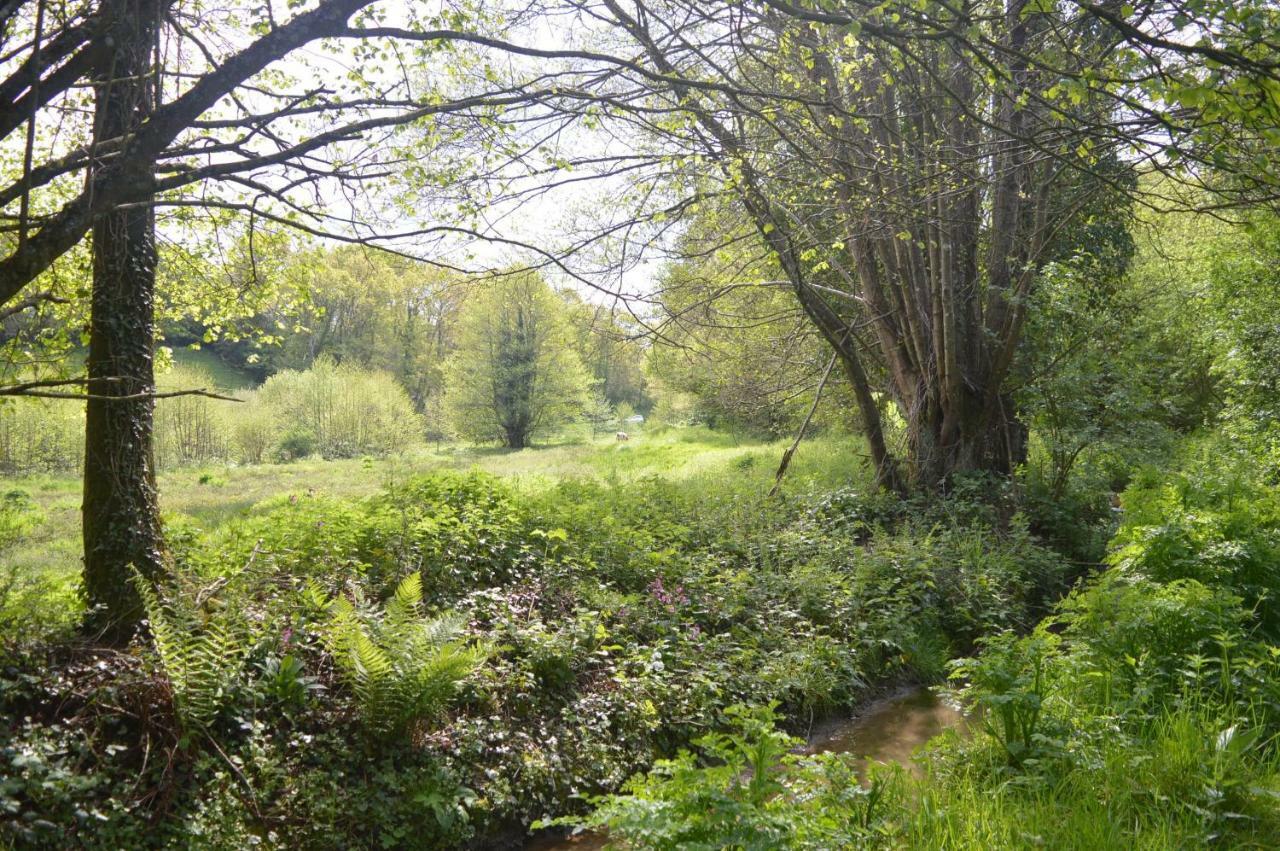 Le Mesnil-Amey Qui Vivra Verra Bed & Breakfast エクステリア 写真